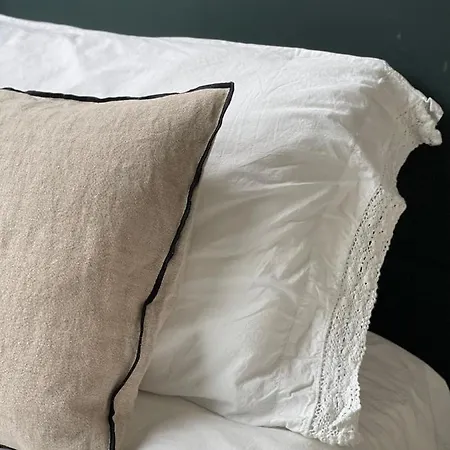 Espectacular Apartamento En El Centro De La Ciudad